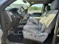 2013 Ford F-150 photo