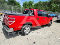 2013 Ford F-150 photo