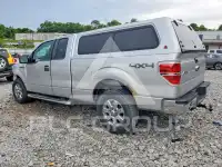 2013 Ford F-150 photo
