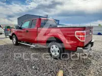 2013 Ford F-150 photo