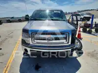 2013 Ford F-150 photo
