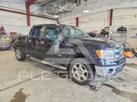 2013 Ford F-150 фото