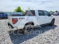 2013 Ford F-150 фото