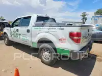 2013 Ford F-150 фото