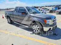 2013 Ford F-150 photo