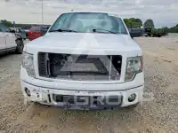 2013 Ford F-150 photo