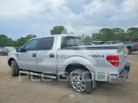 2013 Ford F-150 photo