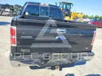 2013 Ford F-150 photo