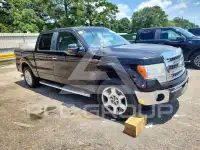 2013 Ford F-150 фото