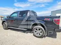 2013 Ford F-150 photo