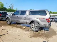 2013 Ford F-150 photo