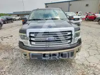 2013 Ford F-150 photo