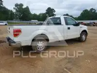 2013 Ford F-150 photo