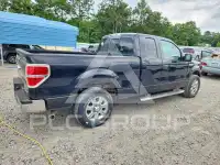 2013 Ford F-150 фото