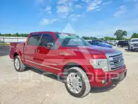 2013 Ford F-150 фото