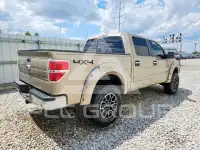2013 Ford F-150 photo