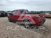 2013 Ford F-150 photo