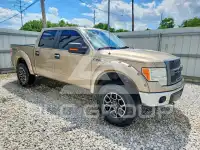 2013 Ford F-150 photo