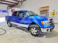 2013 Ford F-150 фото