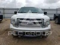 2013 Ford F-150 фото