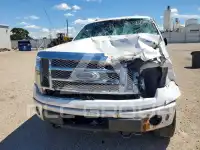 2013 Ford F-150 photo