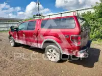 2013 Ford F-150 фото