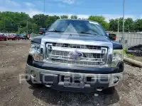 2013 Ford F-150 фото