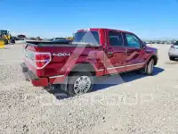 2013 Ford F-150 фото