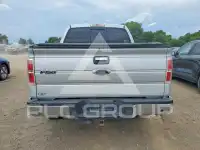 2013 Ford F-150 photo