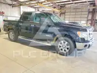 2013 Ford F-150 photo