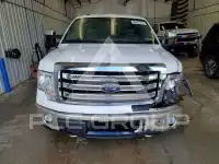 2013 Ford F-150 photo