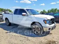 2013 Ford F-150 photo