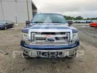 2013 Ford F-150 photo