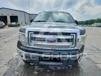 2013 Ford F-150 фото