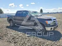 2013 Ford F-150 фото