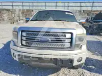 2013 Ford F-150 photo