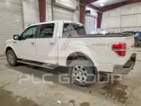 2013 Ford F-150 photo