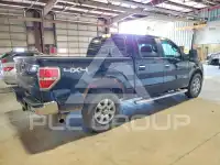 2013 Ford F-150 photo