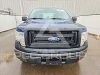 2013 Ford F-150 фото