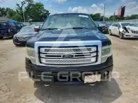 2013 Ford F-150 фото