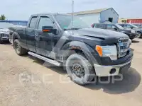 2013 Ford F-150 photo