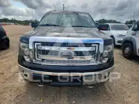 2013 Ford F-150 фото