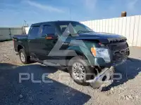 2013 Ford F-150 фото