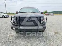2013 Ford F-150 фото