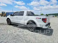 2013 Ford F-150 photo