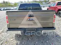2013 Ford F-150 фото