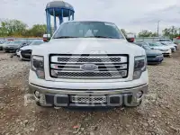 2013 Ford F-150 photo