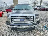 2013 Ford F-150 фото