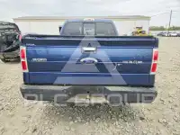 2013 Ford F-150 фото