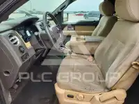 2013 Ford F-150 photo